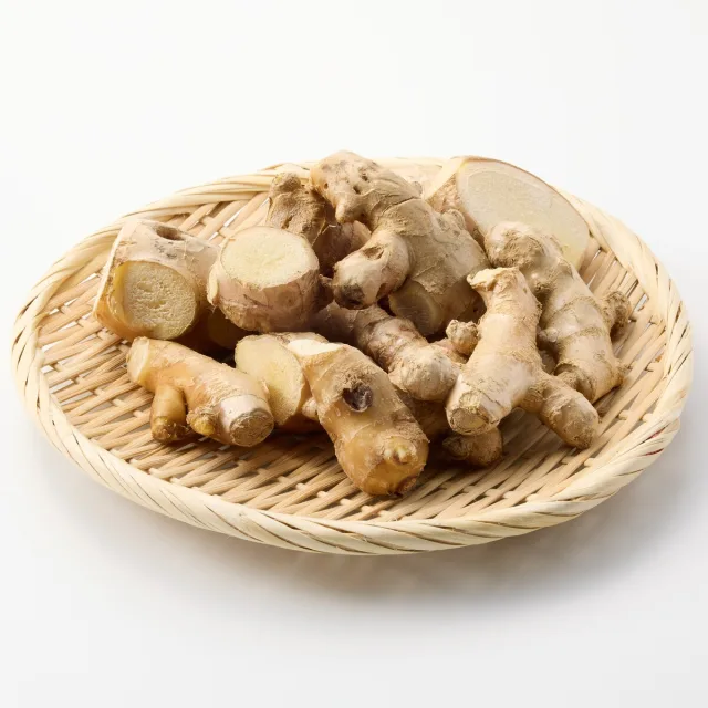 南九州産「黄金生姜」家庭用・約１ｋｇ