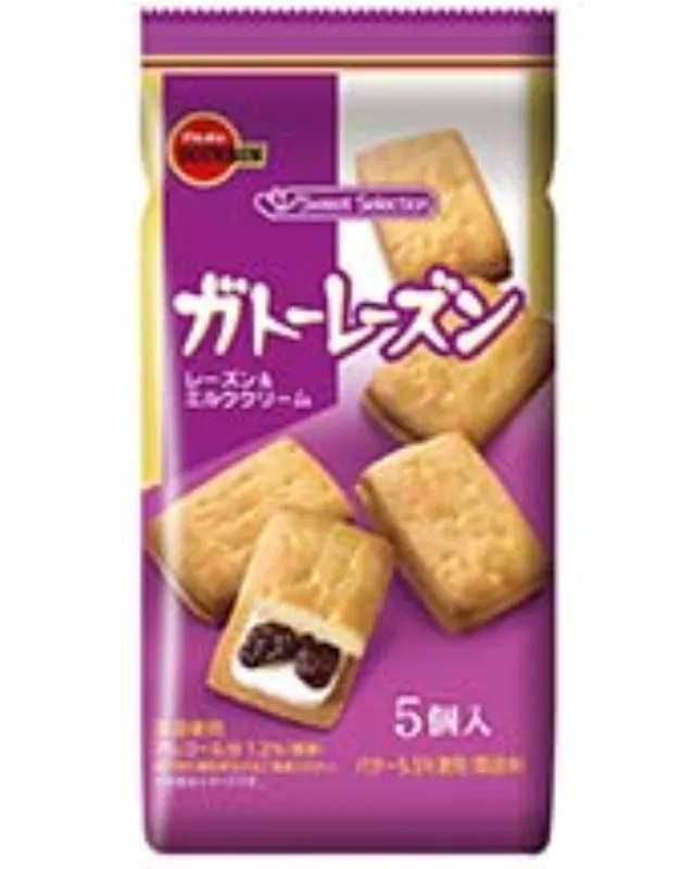 ガトーレーズン 5個